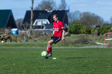 Bild 44 - Frauen SG Nie-Bar - PTSV Kiel : Ergebnis: 3:3